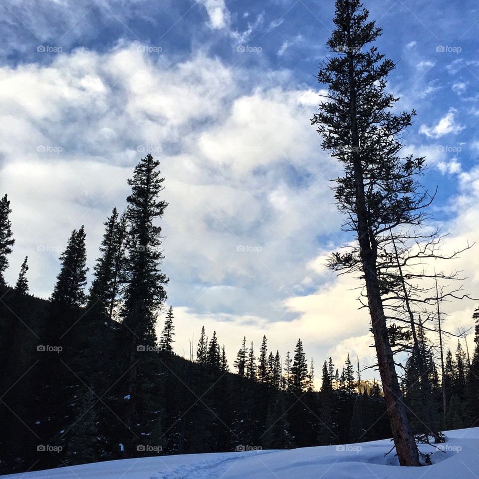 "Running is my private time, my therapy, my religion." Gail W. Kislevitz