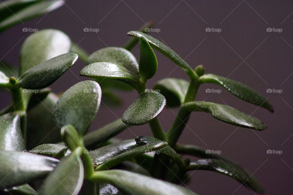 Sunlight reflecting off building 