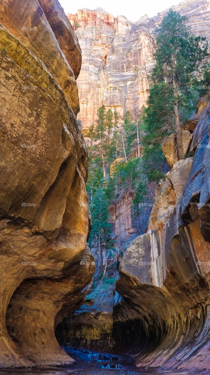 The Subway (Left Fork Bottom Up), Zion National Park