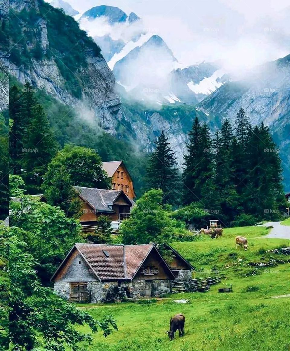 Glory be to God, the magnificent and picturesque view and the natural green trees are a view that is nothing more wonderful than it