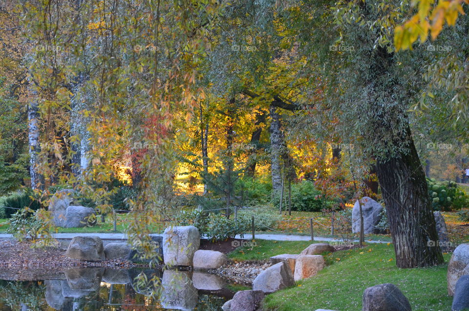 evening in autumn park
