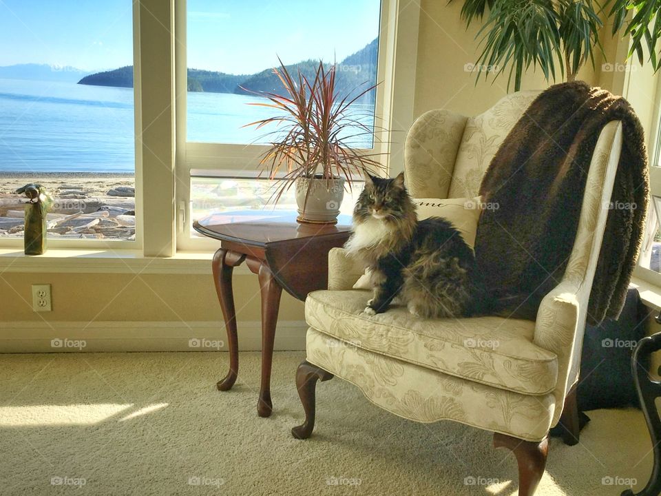 Cosy room with a beach