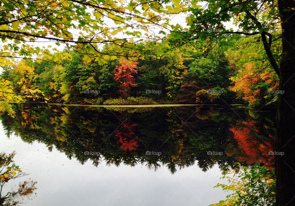 Fall reflections