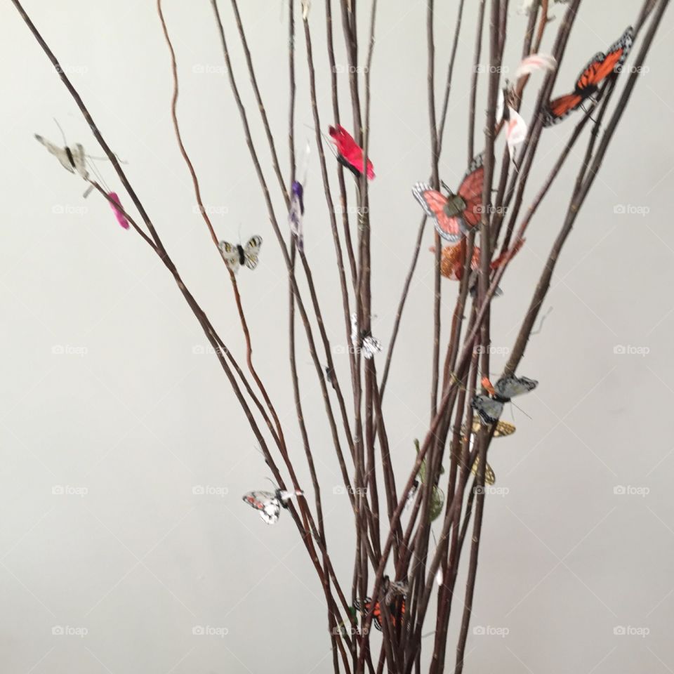 Beautiful Butterflies Room Decor