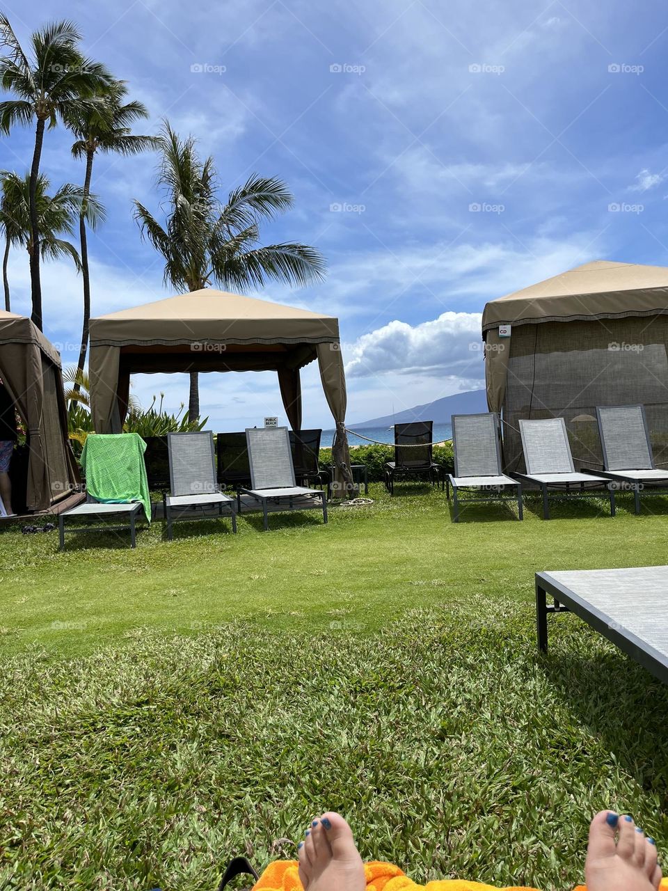 Rows of beach chairs 
