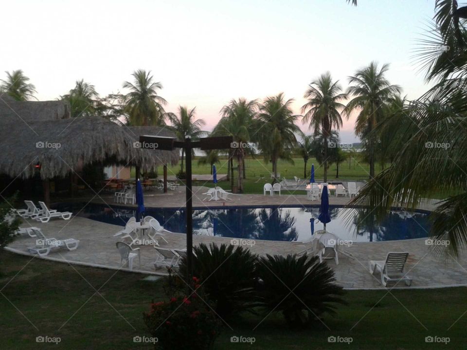 Resort, Hotel, Palm, Beach, Luxury