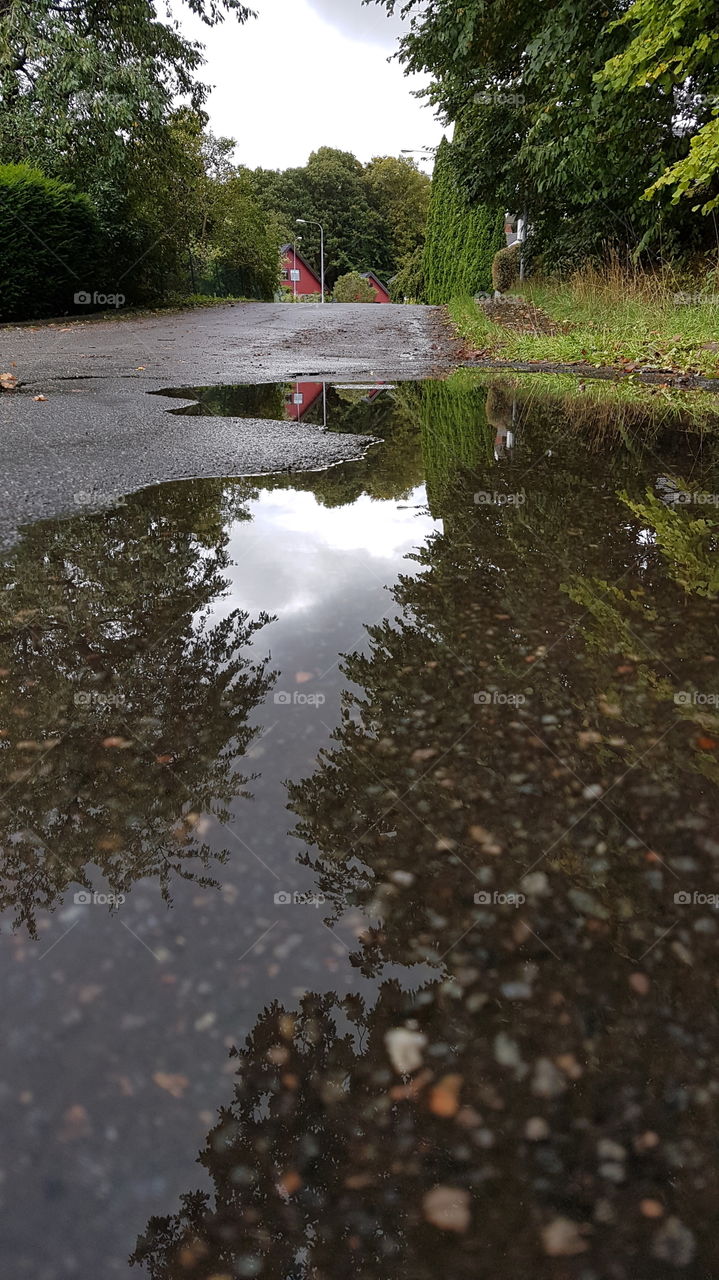 Autumn rain reflections 