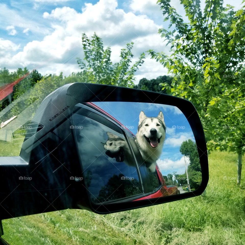 love in my rearview mirror
