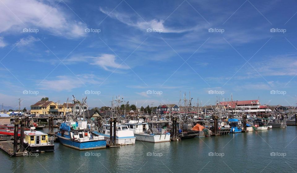 Row. Row. Row of boats 