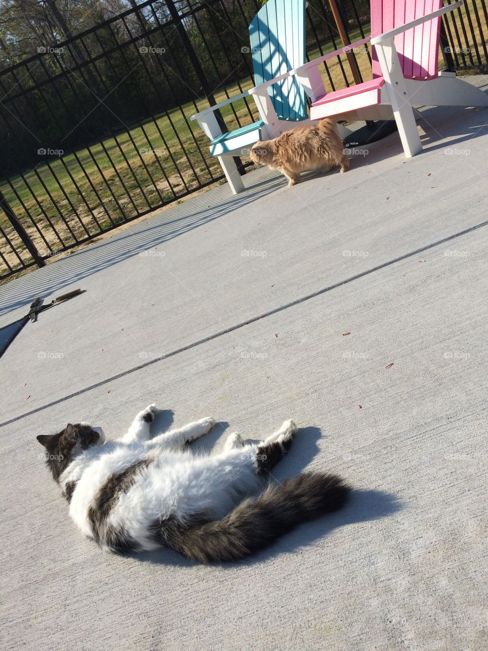 Poolside