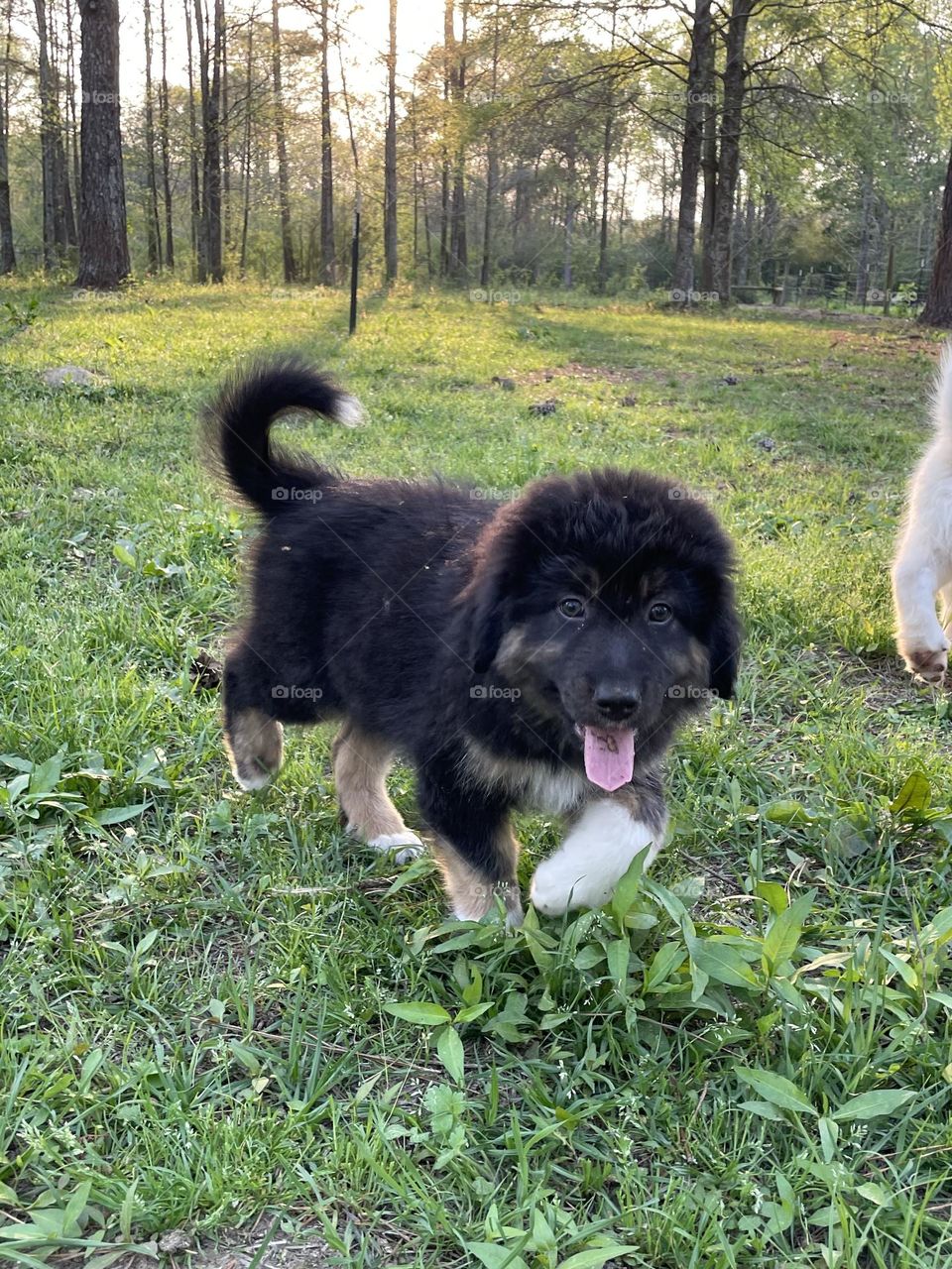 Having fun at sunset