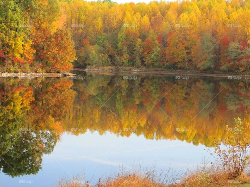 Fall at lake