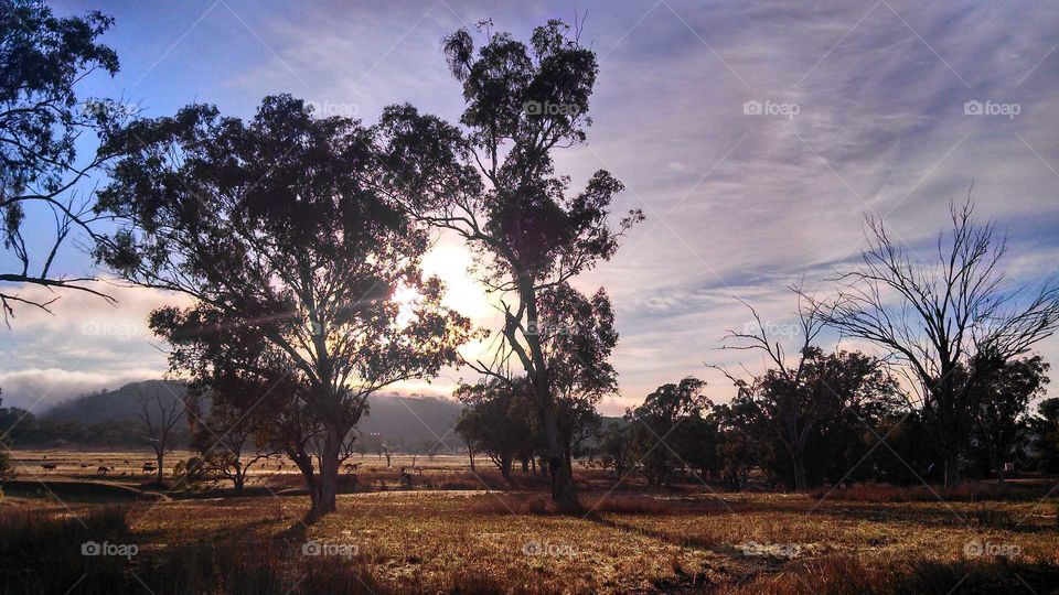 Sunrise in the outback