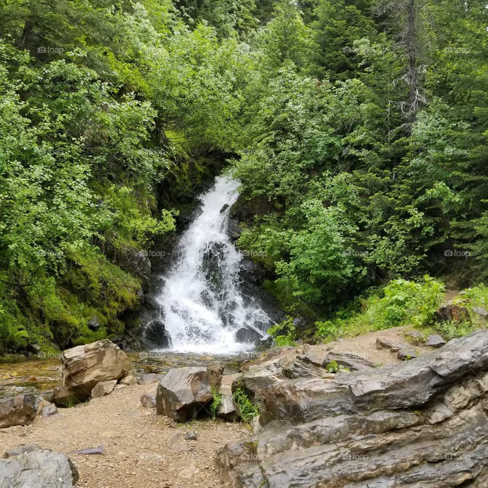 water fall in the mountains surrounded by green foliage and rocks