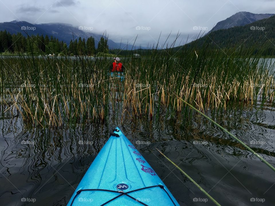 Nature, Water, Lake, Landscape, Outdoors