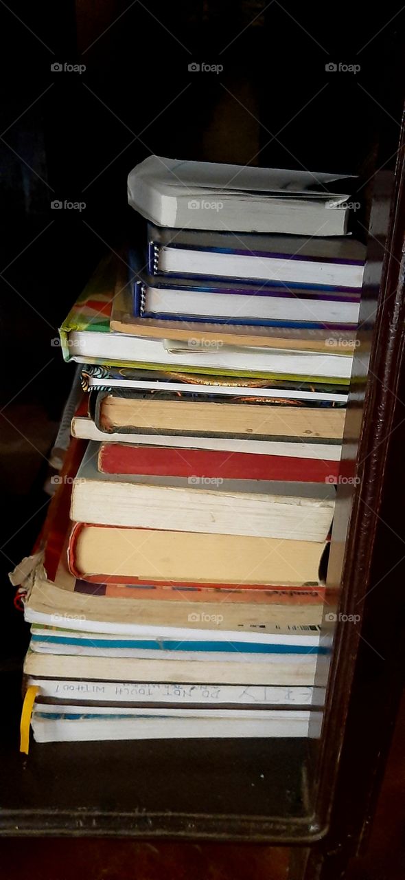 bookself...notebooks novels textbook general books literary fiction... at the bottom just above the floor...checkout which are which