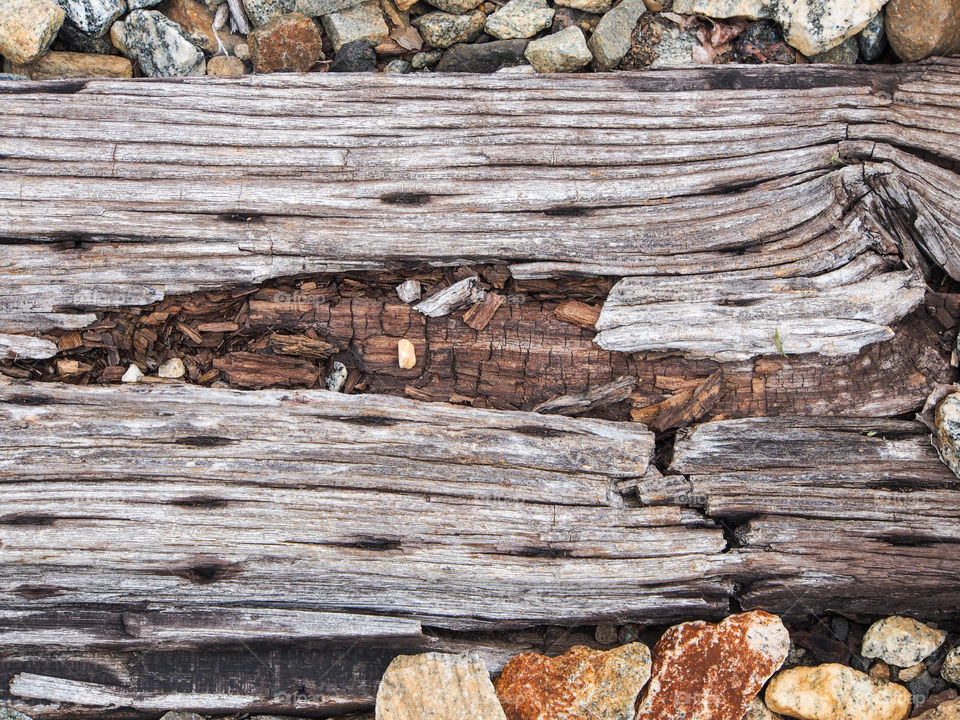 Old railroad tie