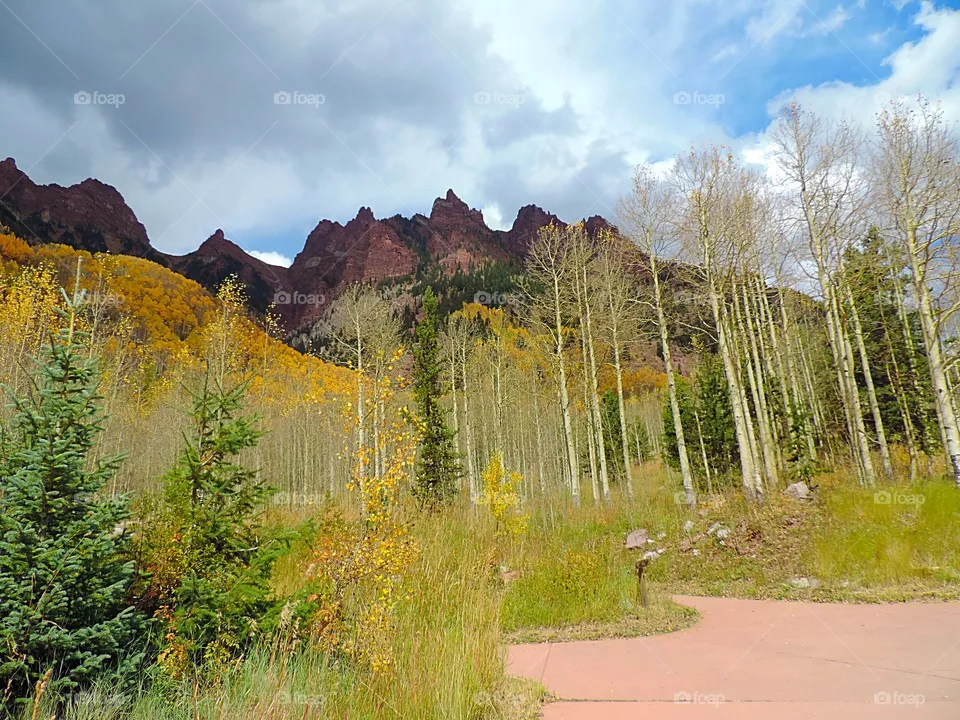 Aspen