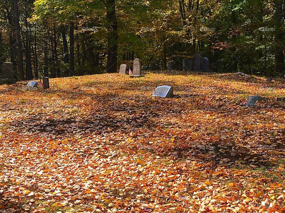 Autumn cemetery 