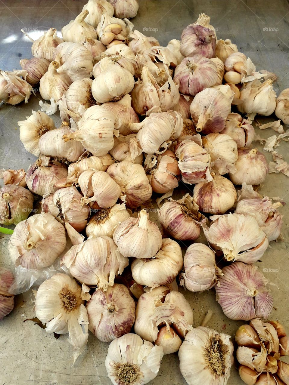 Garlic