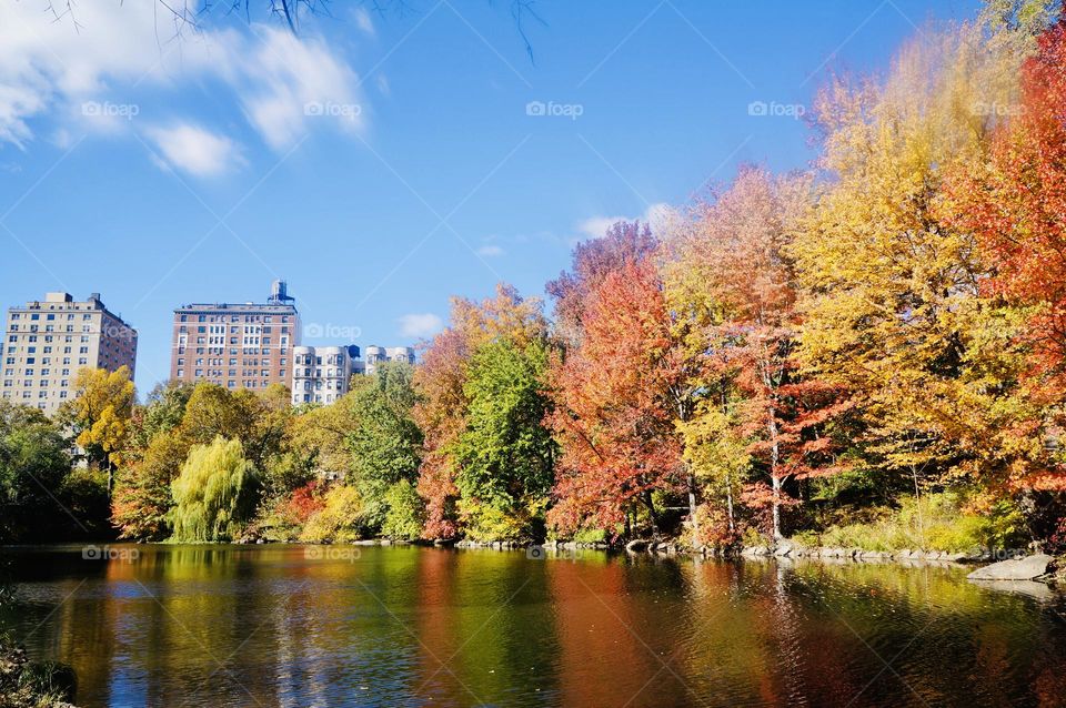 A kaleidoscope of vibrant fall colors dominate the landscape. 