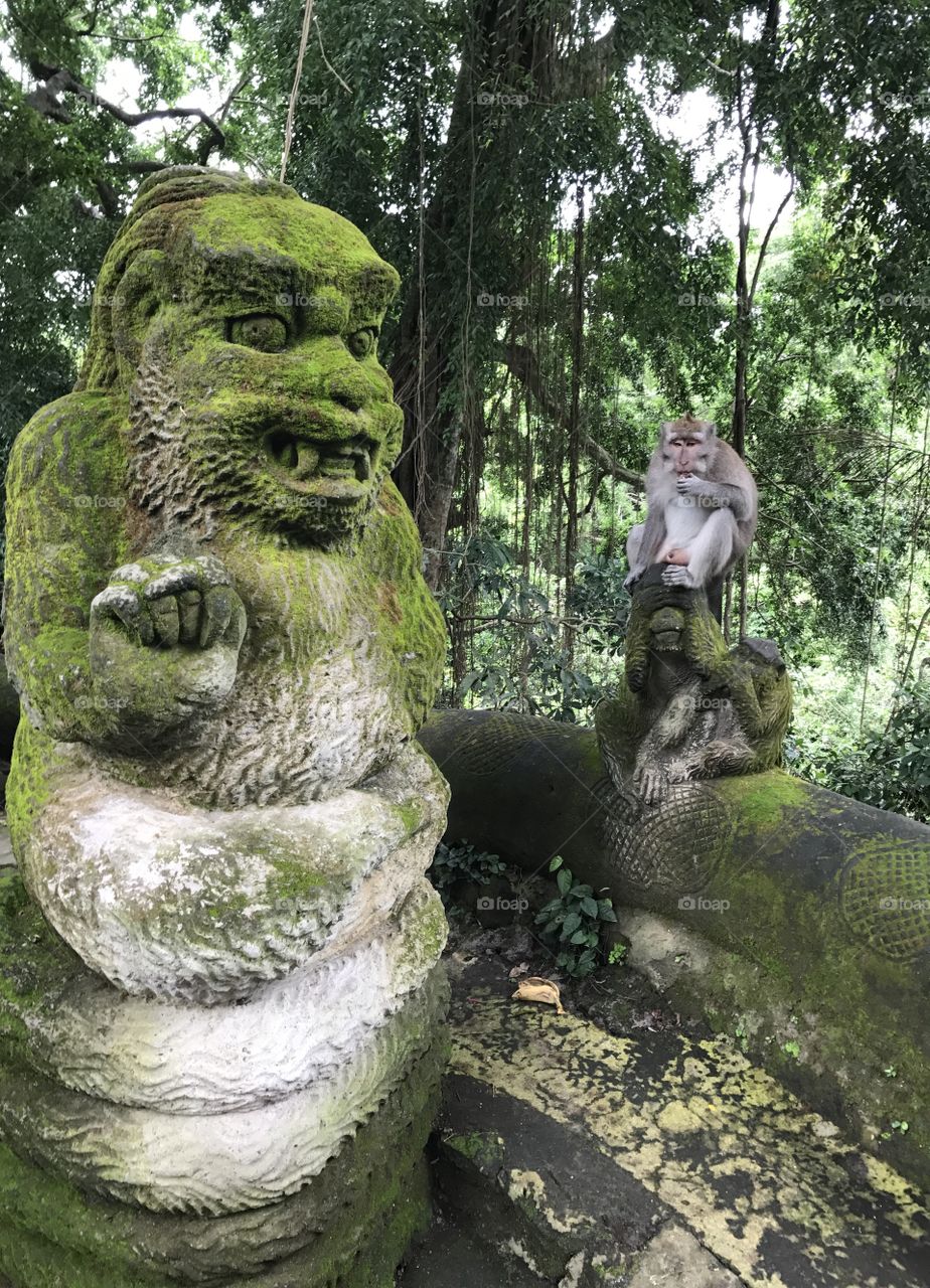 Monkey with sculpture 