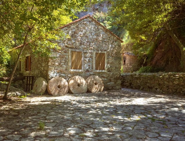 Traditional style schist cottage under a leafy canopy