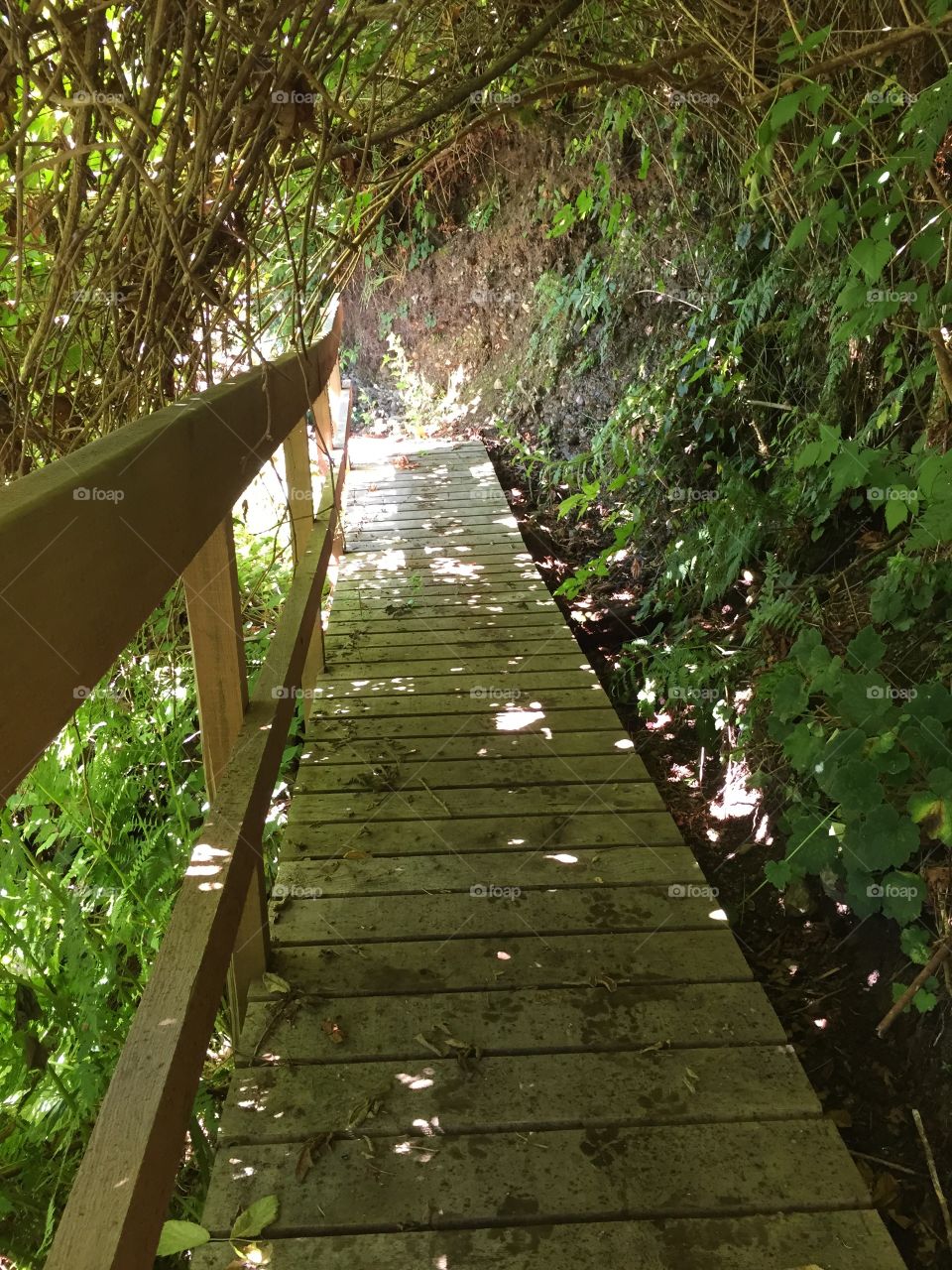 Secret pathway 