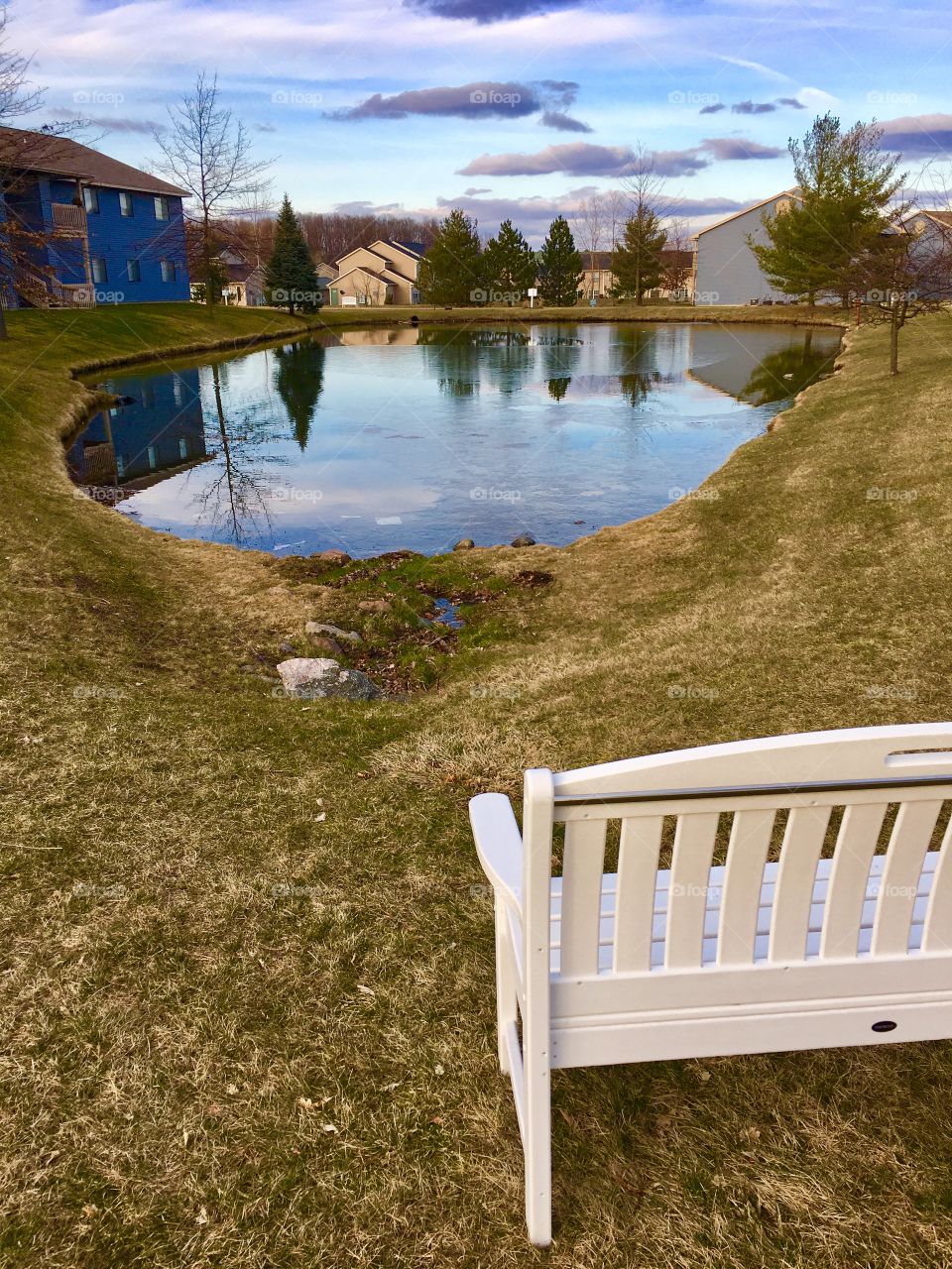 Bench by the pond