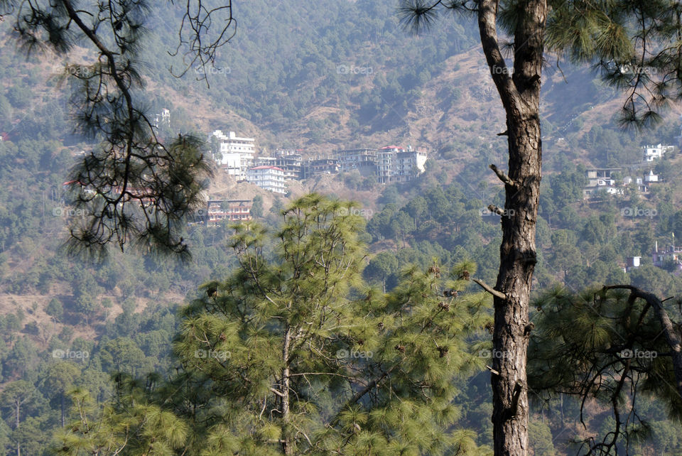 Hills have their own charm and beauty - the variations in height - pine trees - clean air.