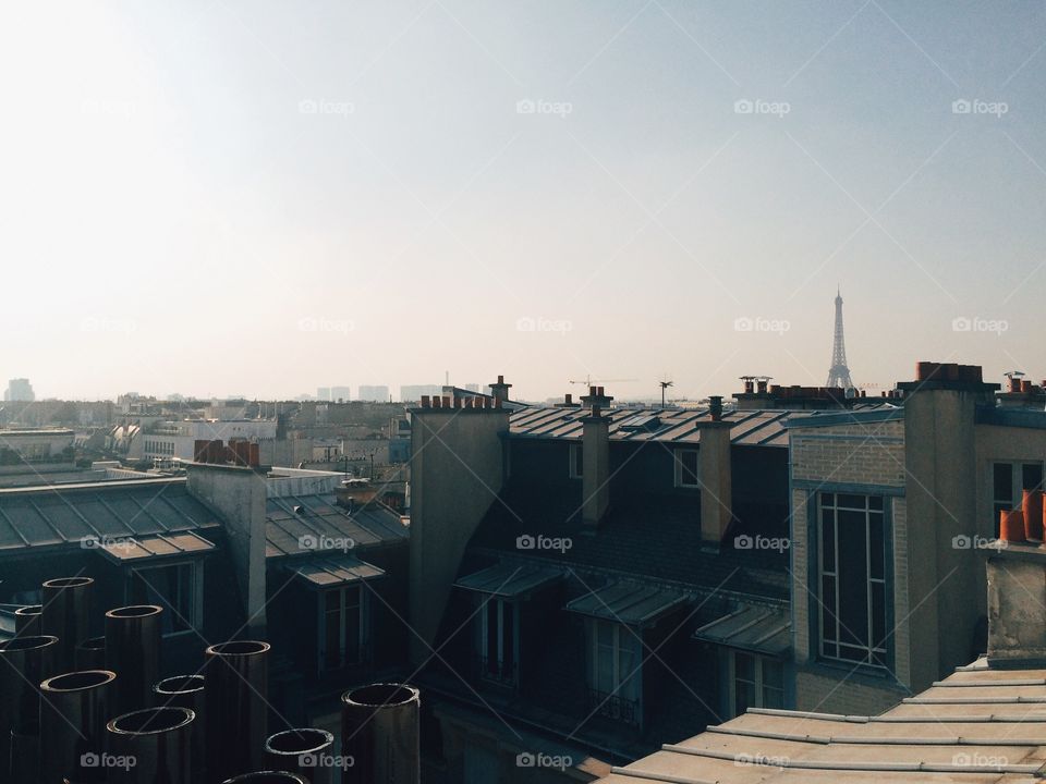 Parisian rooftop 