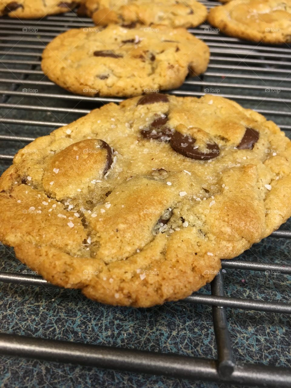 Homemade Chocolate Chip Cookie