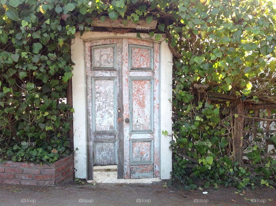 Door old gate