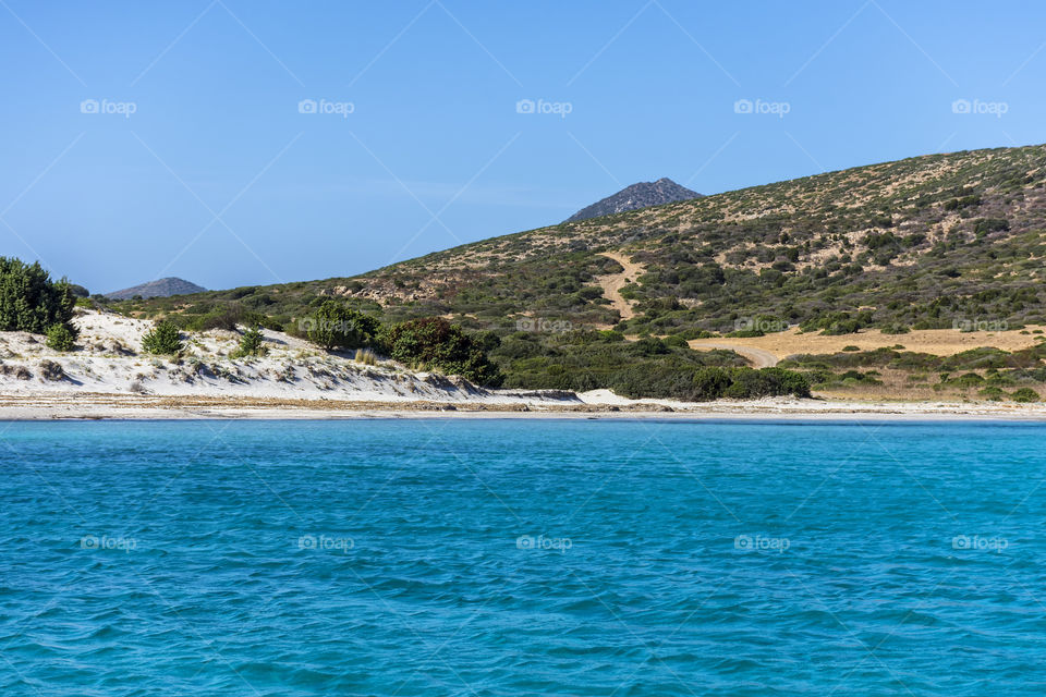 Porto zafferano, Sardinia