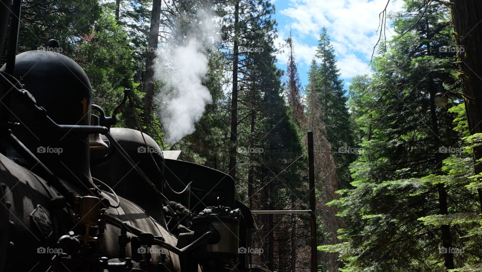 All aboard for vacation