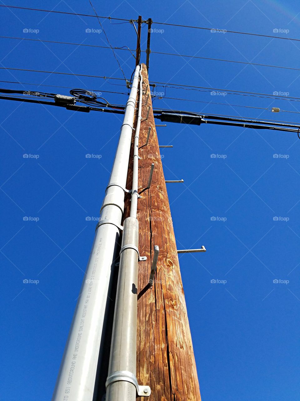 Power pole with metal steps going up!