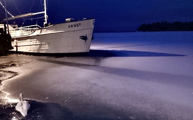 Boat, frozen sea and lonely swan