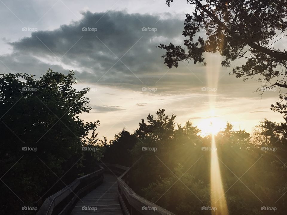 New York, Long Island, Fire Island, Nature, tree, plants, outdoors, calm, relax, shades, colors, Clouds, sky, path, view, architecture, sunset, afternoon, 