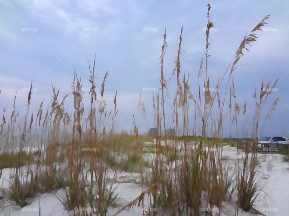 Pensacola, Florida 