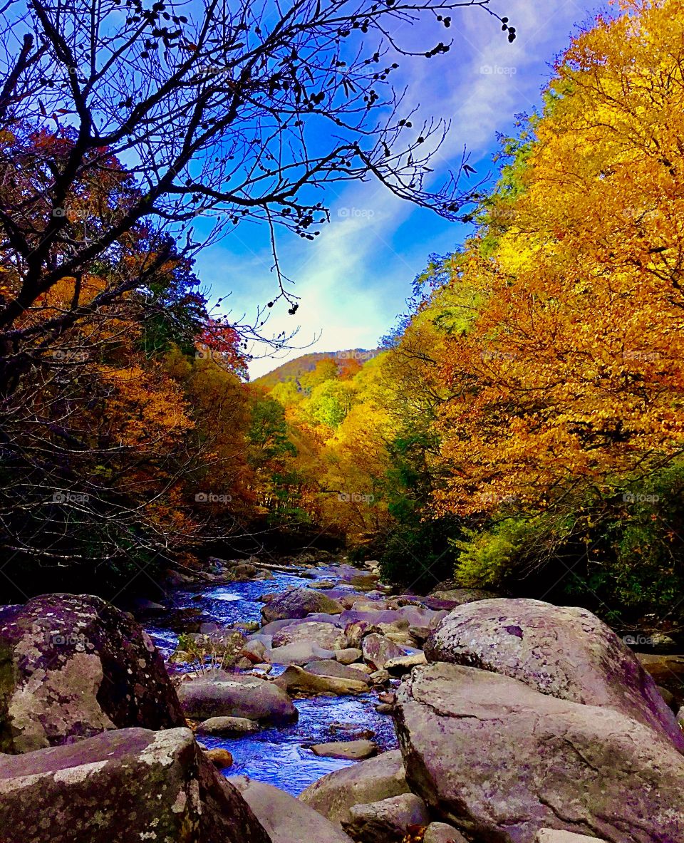 Moods of Autumn mission a rocky stream and a bright autumn day in the Smokey mountains 