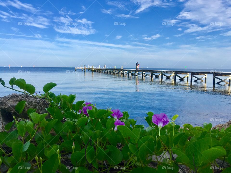 Beautiful blue skies, pier fishing, and summertime purple flowers . This is a great pastime for a warm Florida day!