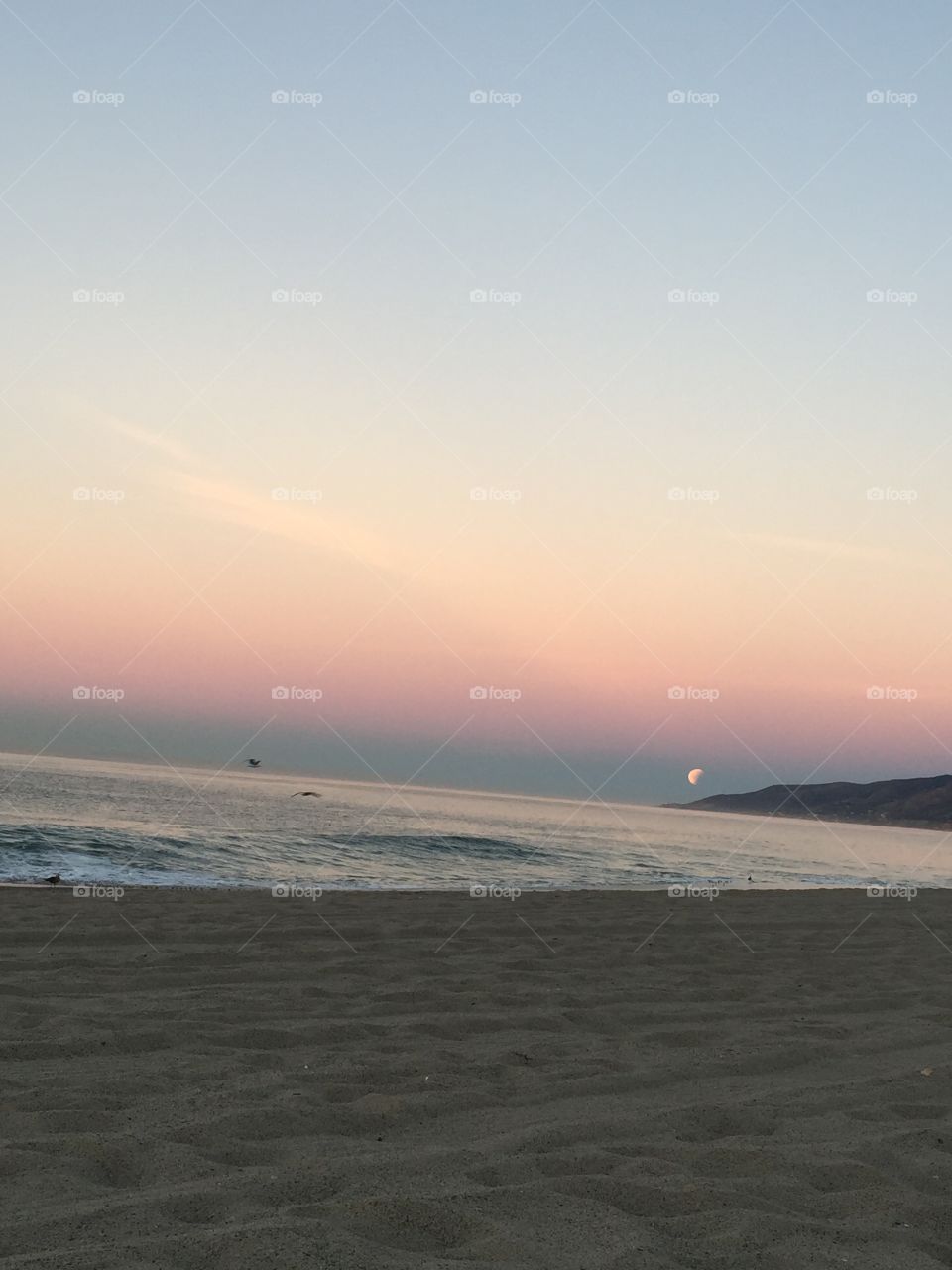 Super Blood Moon Setting Over the Beach