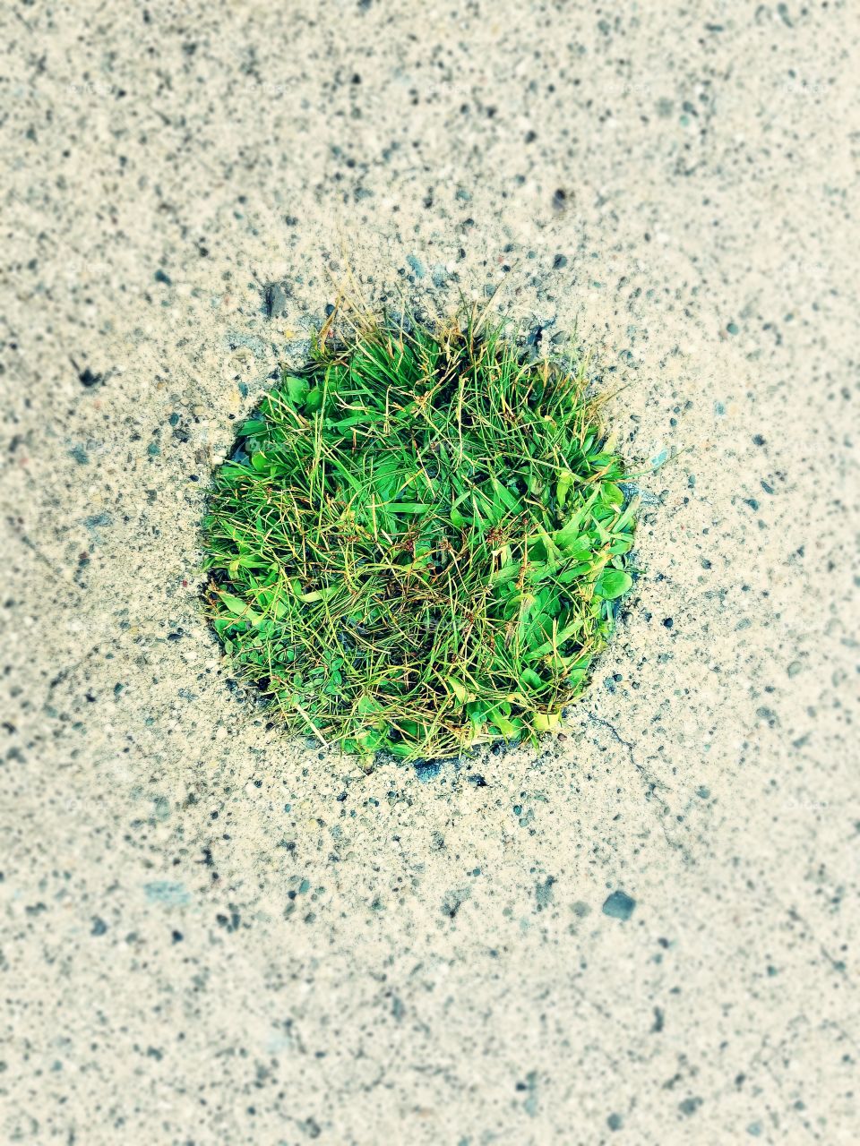 A green circle surrounded by endless cement.