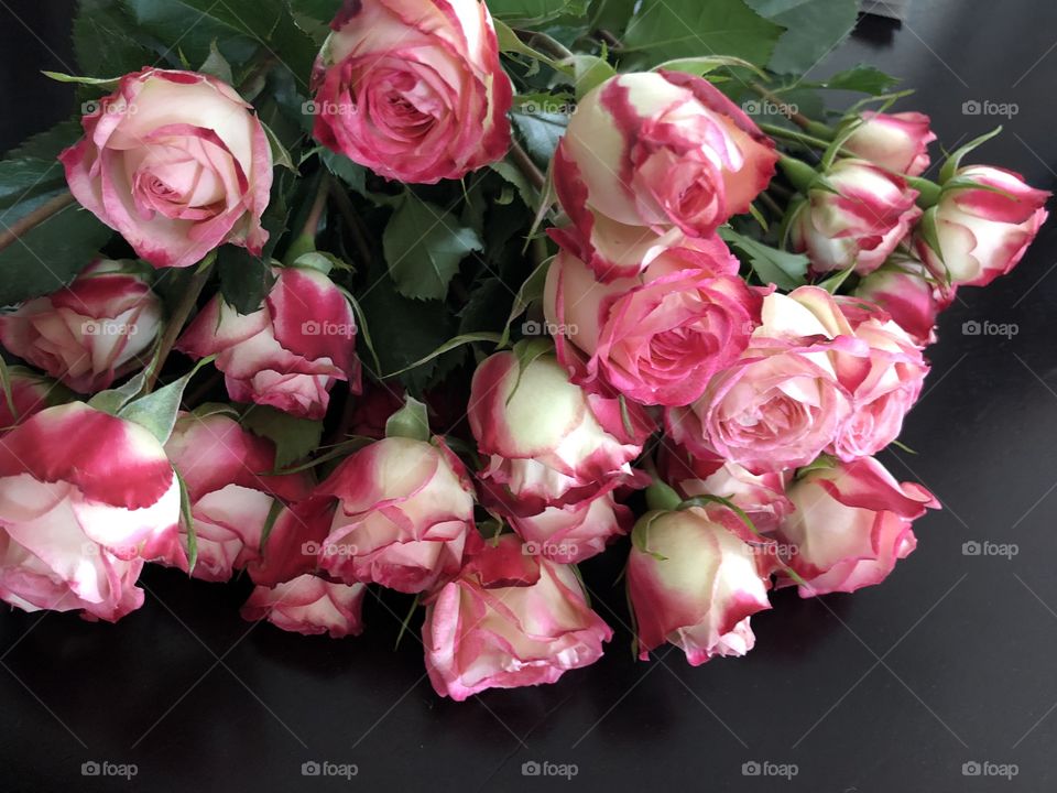 Pink and white two tone rose bouquet 