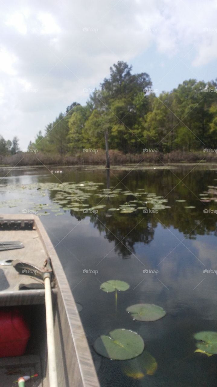 Swamp boat bayou