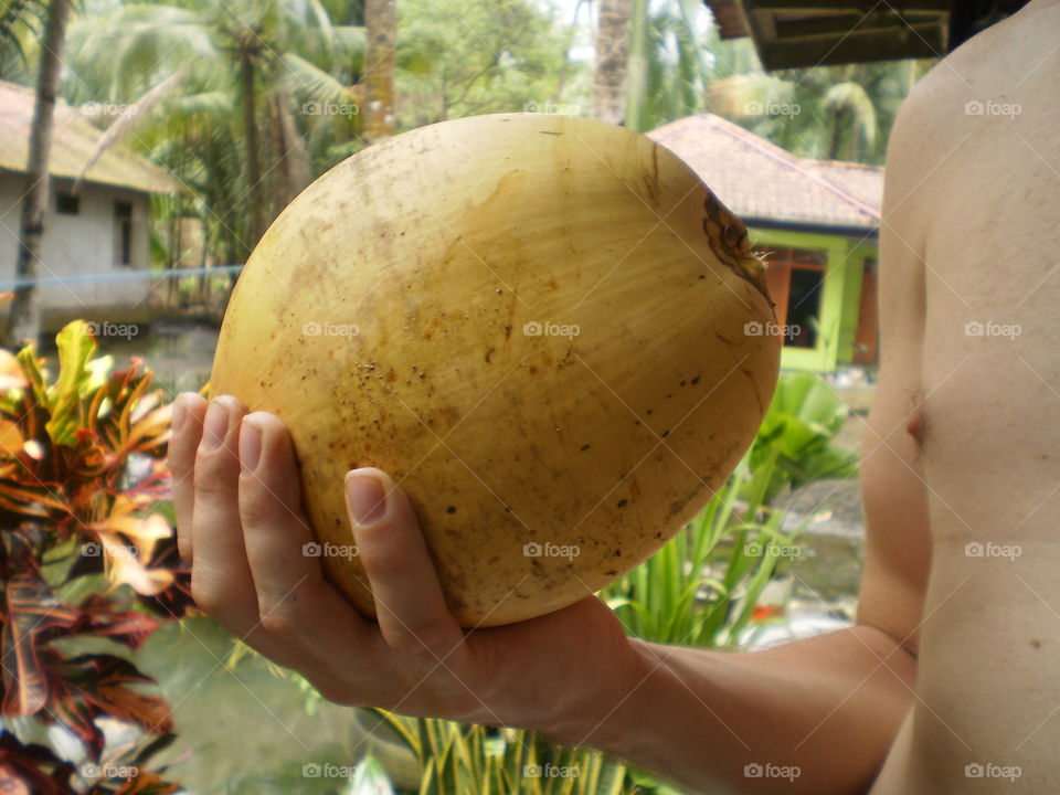 Garden, Food, Nature, Fruit, Leaf