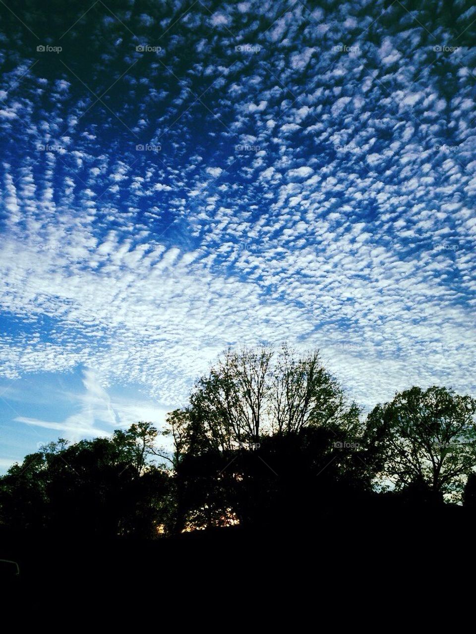 rippled clouds 