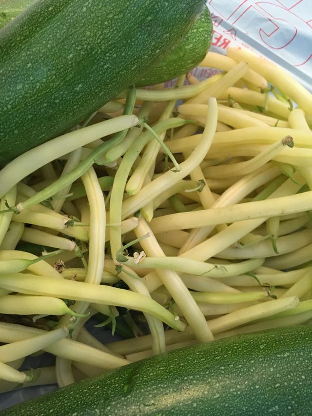Butter beans 