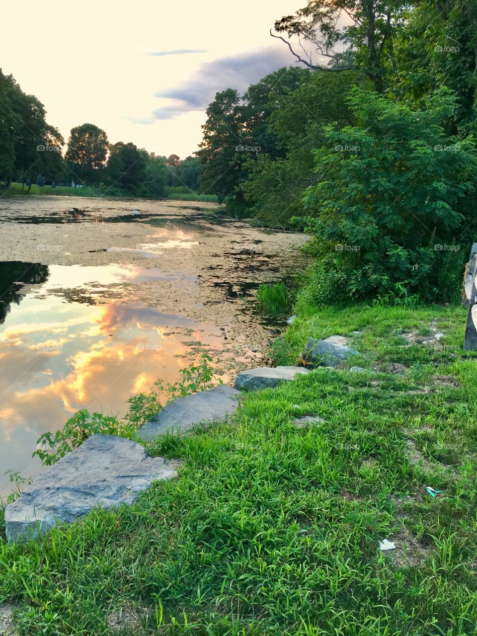 Sunset on the Pond 2