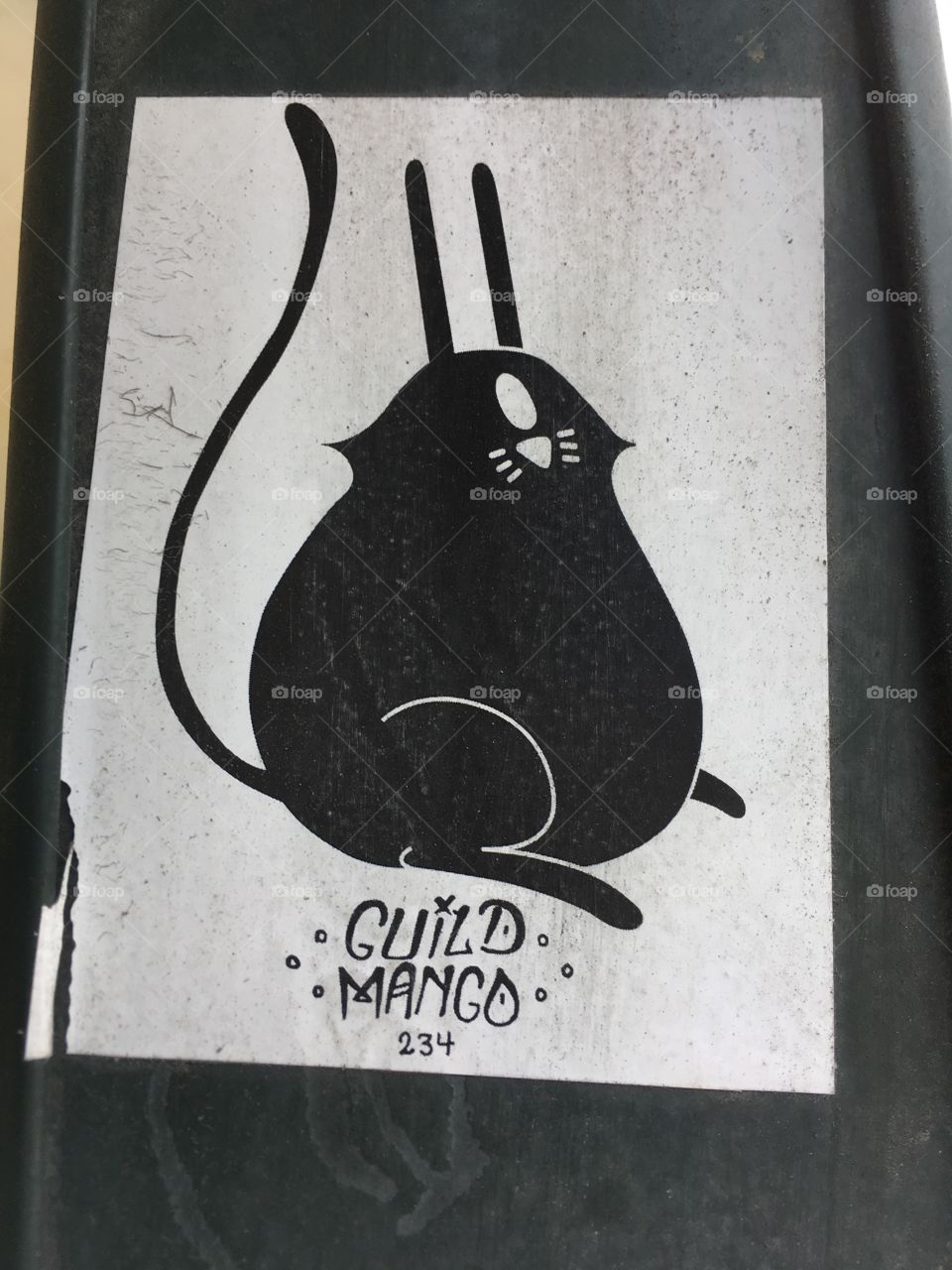 Guild mango - Boulder CO